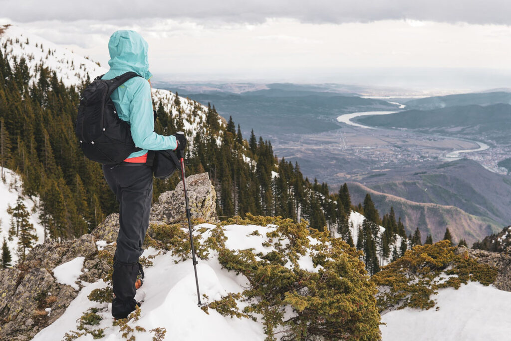 Explore the Wild with Our Exclusive Alaska Tour Packages: Denali National Park for 2025